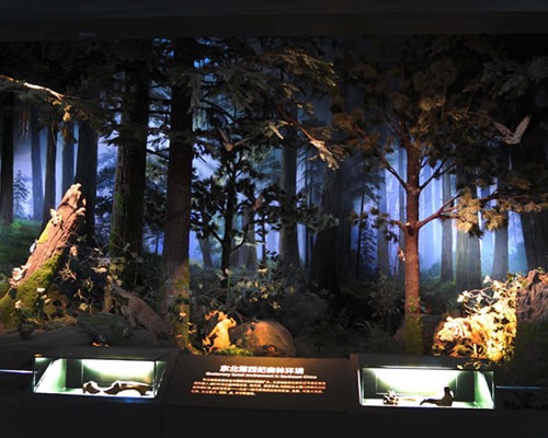 博物館設(shè)計